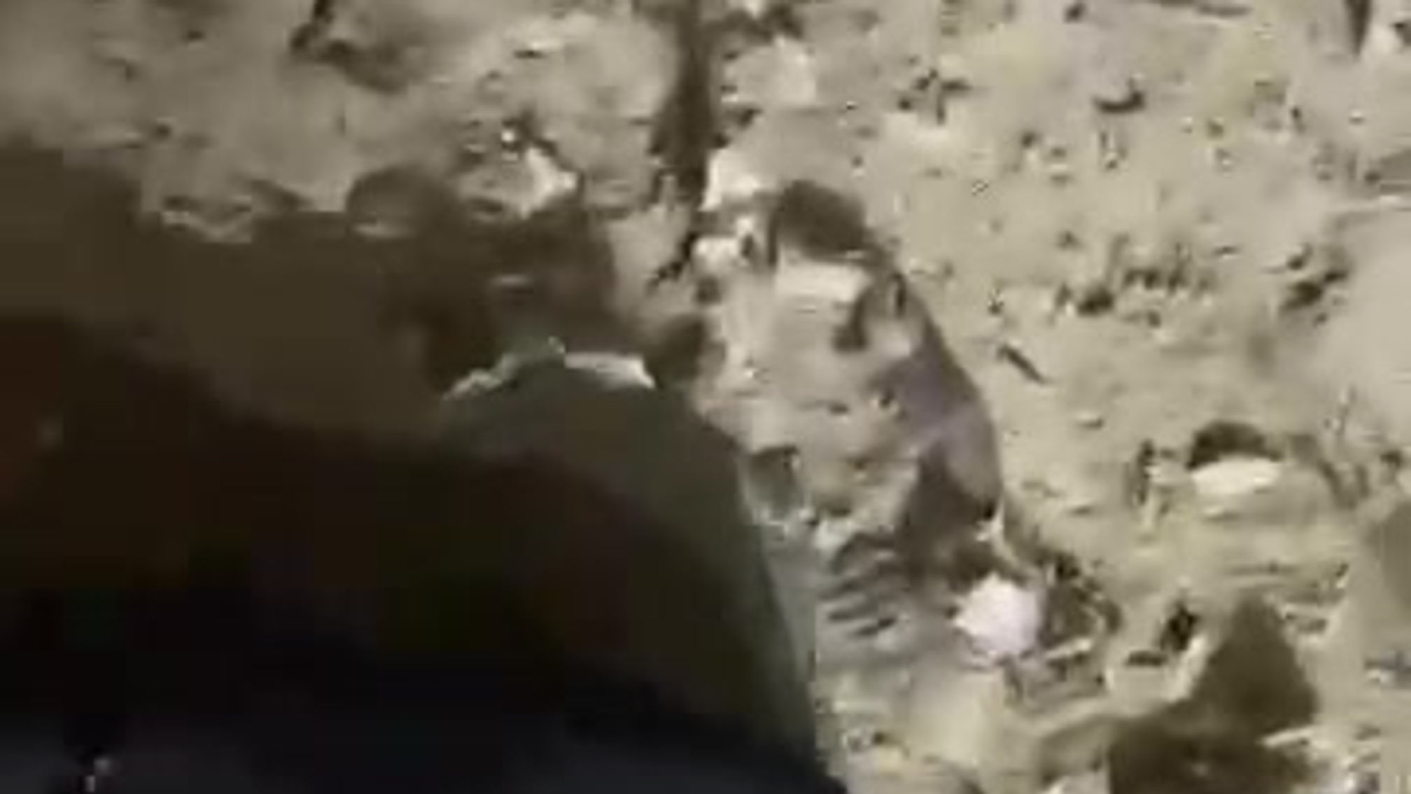 Test video